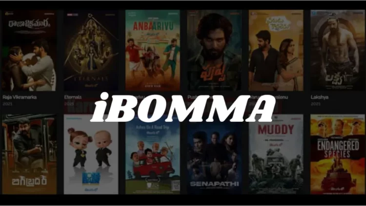 iBomma APK Latest Version Watch Movies Online